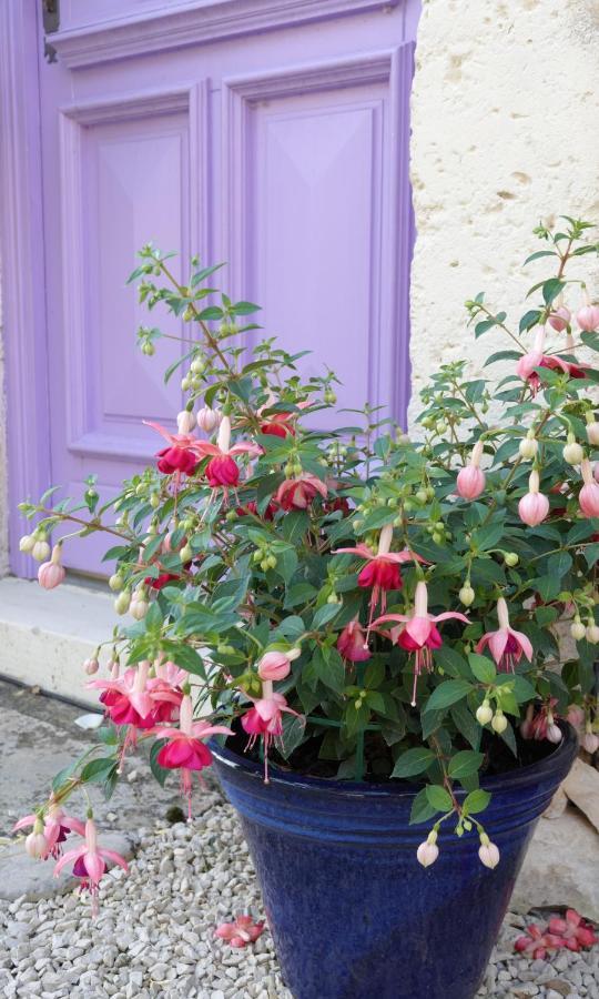 Gite Rural La Maison Mauve Ventouse Buitenkant foto